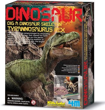 00-03221 4M Vaikiška laboratorija ''Tyranosauro Rex skeletas''